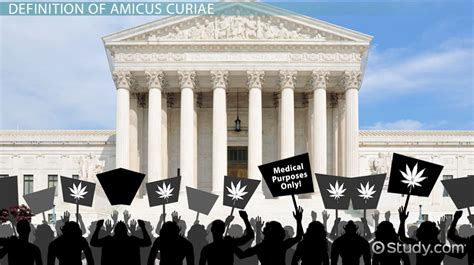 amicus curiae definition